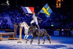 Lorenzo på Sweden International Horse Show 2019. Foto: Therese Hübner